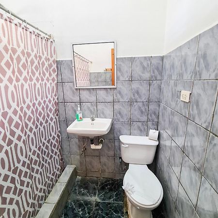 Cabinas Coco Alegre מראה חיצוני תמונה