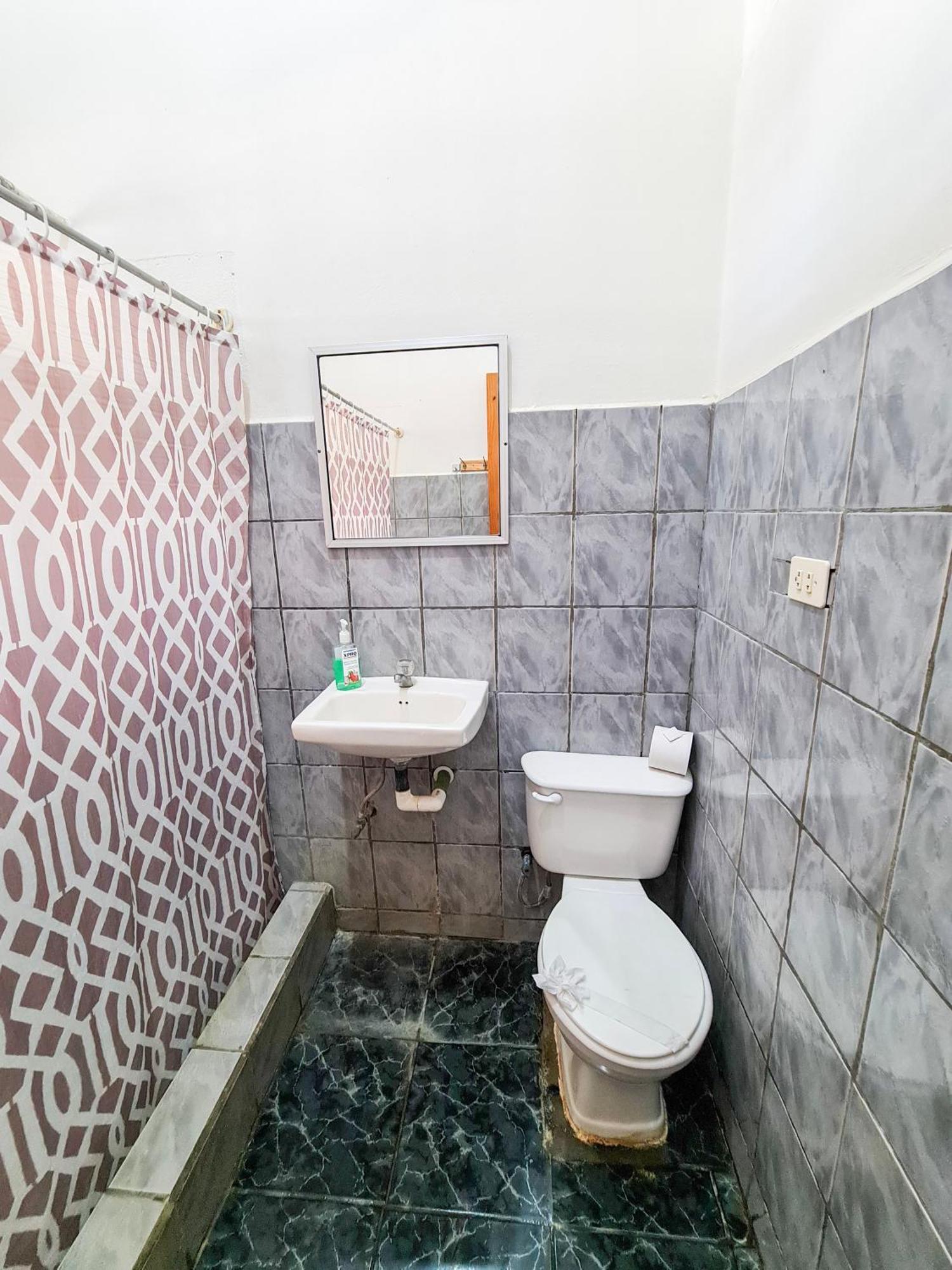 Cabinas Coco Alegre מראה חיצוני תמונה